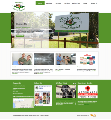 Sweet Pea Animal Hospital-Website Design